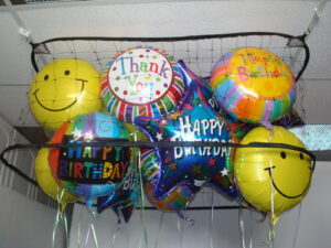 41815 - Balloon Corral 4' x 4' x 18"